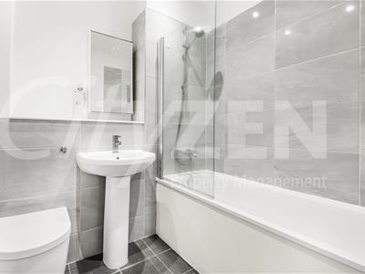 Picture 12